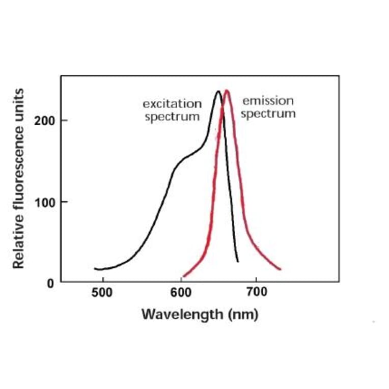 Diagram - Allophycocyanine Labeling Kit - Amine Reactive (A57313) - Antibodies.com