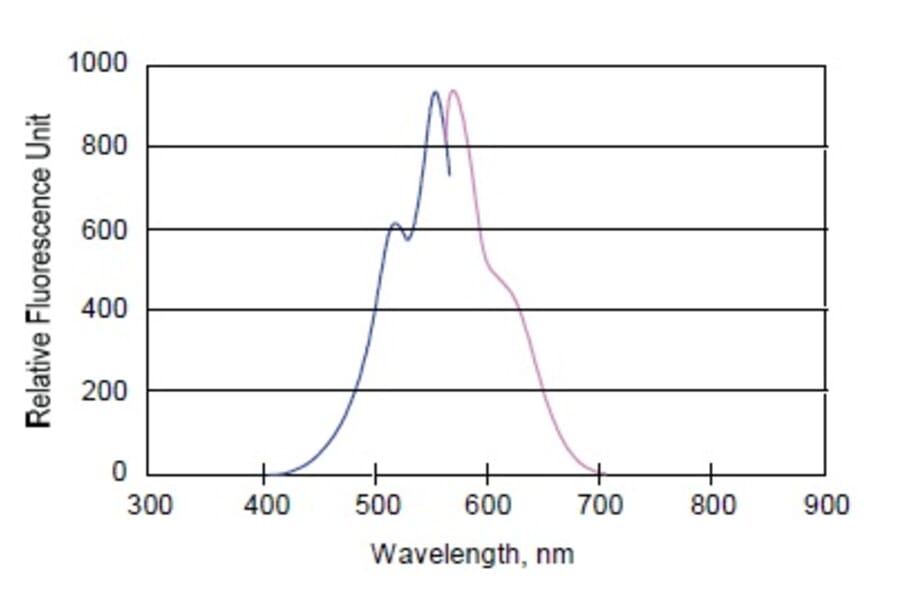 Diagram - HiLyte Fluor™ 555 Labeling Kit - Amine Reactive (A57316) - Antibodies.com