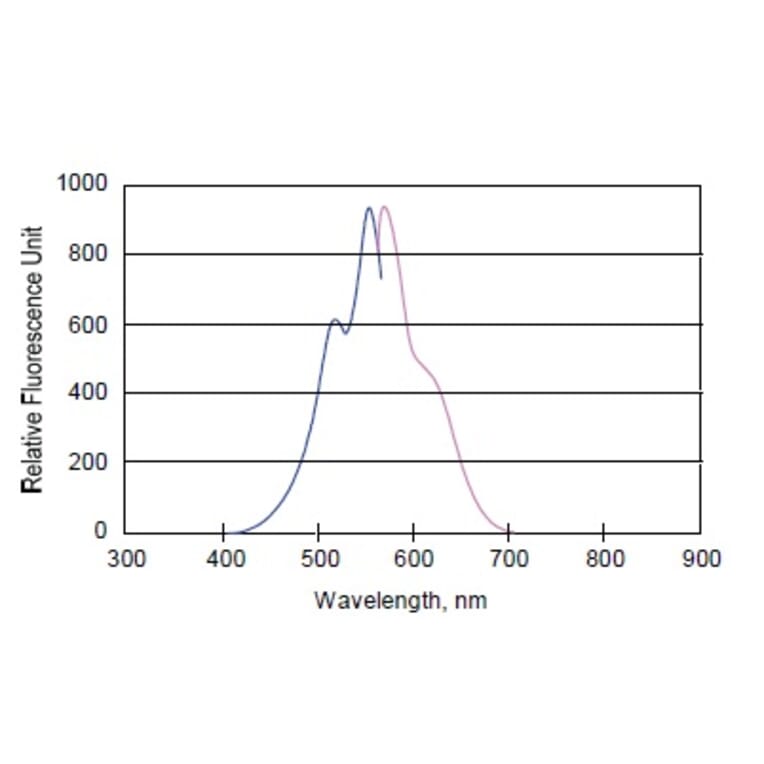 Diagram - HiLyte Fluor™ 555 Labeling Kit - Amine Reactive (A57316) - Antibodies.com