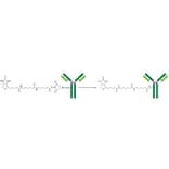 Diagram - Biotin Labeling Kit - Amine Reactive (A57322) - Antibodies.com