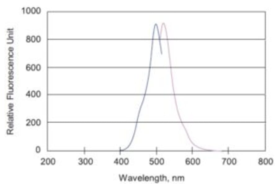 Diagram - Fluorescein Labeling Kit - Amine Reactive (A57323) - Antibodies.com