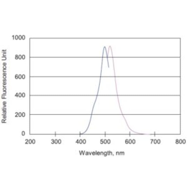 Diagram - Fluorescein Labeling Kit - Amine Reactive (A57323) - Antibodies.com