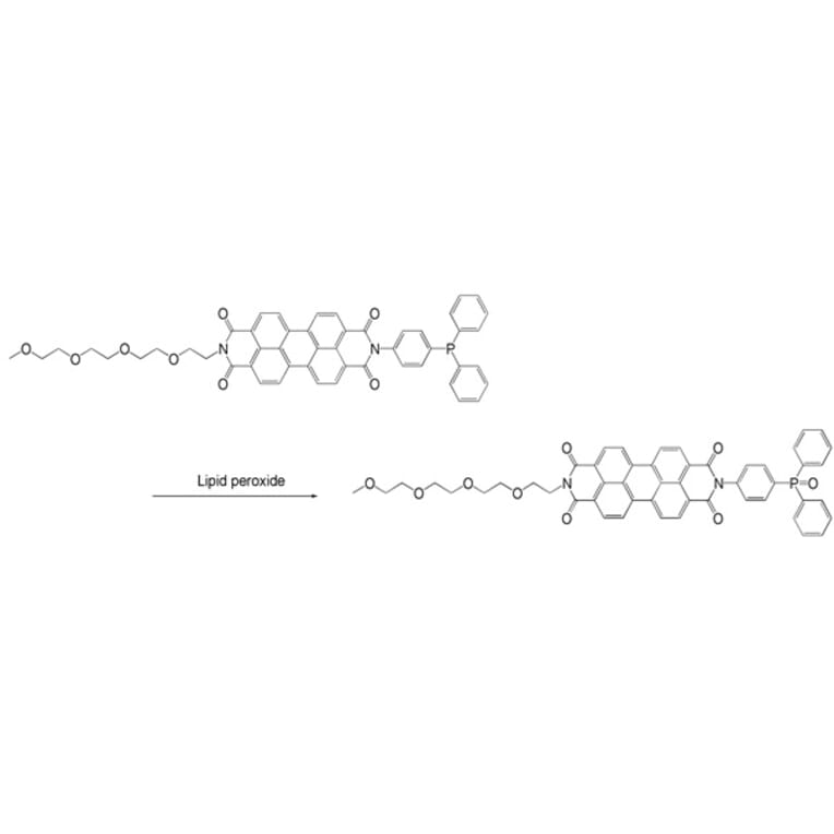 Diagram - Liperfluo - Lipid Peroxidation Probe (A57324) - Antibodies.com