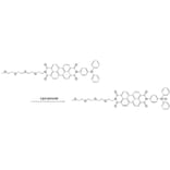 Diagram - Liperfluo - Lipid Peroxidation Probe (A57324) - Antibodies.com