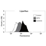 Flow Cytometry - Liperfluo - Lipid Peroxidation Probe (A57324) - Antibodies.com