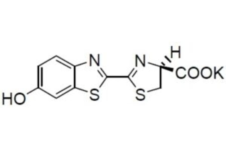 Structure - D-Luciferin - Potassium Salt (A57325) - Antibodies.com
