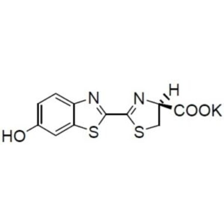 Structure - D-Luciferin - Potassium Salt (A57325) - Antibodies.com