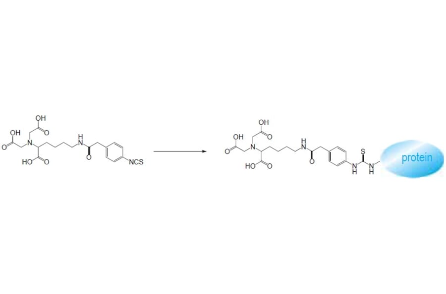 Diagram - Isothiocyanobenzyl-NTA - Amine-Reactive NTA (A57330) - Antibodies.com