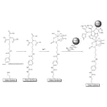 Diagram - Isothiocyanobenzyl-NTA - Amine-Reactive NTA (A57330) - Antibodies.com