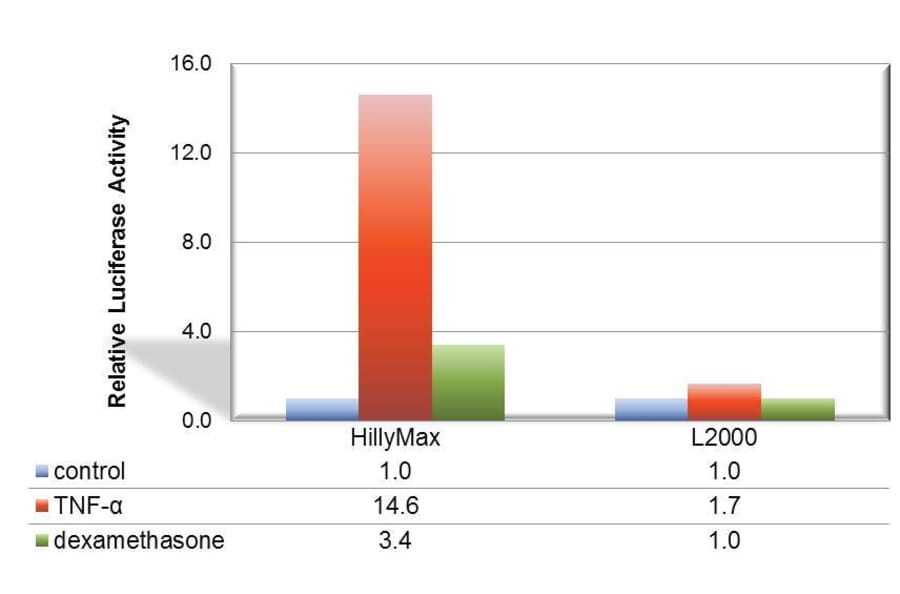 Diagram - HilyMax - Transfection Reagent (A57340) - Antibodies.com