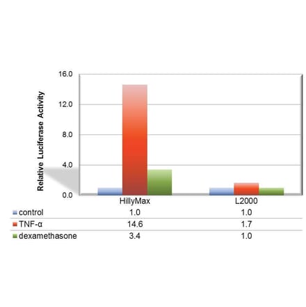 Diagram - HilyMax - Transfection Reagent (A57340) - Antibodies.com