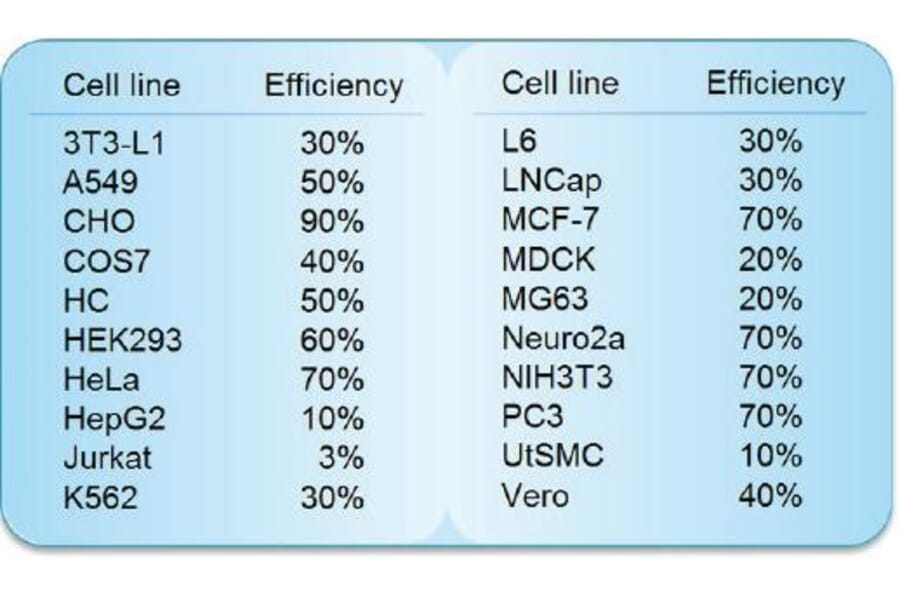 Diagram - HilyMax - Transfection Reagent (A57340) - Antibodies.com