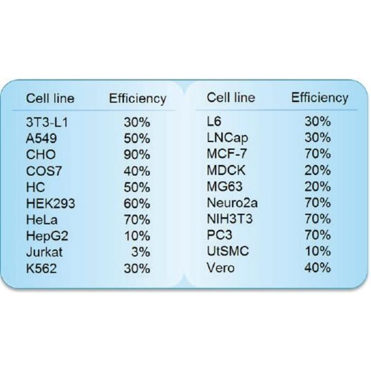 Diagram - HilyMax - Transfection Reagent (A57340) - Antibodies.com
