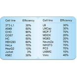 Diagram - HilyMax - Transfection Reagent (A57340) - Antibodies.com
