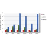 Diagram - HilyMax - Transfection Reagent (A57340) - Antibodies.com
