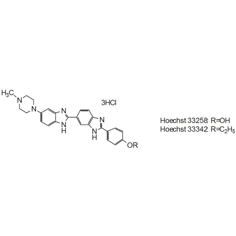 Structure - Cellstain™ Hoechst 33258 - Nuclear Stain Solution (A57344) - Antibodies.com