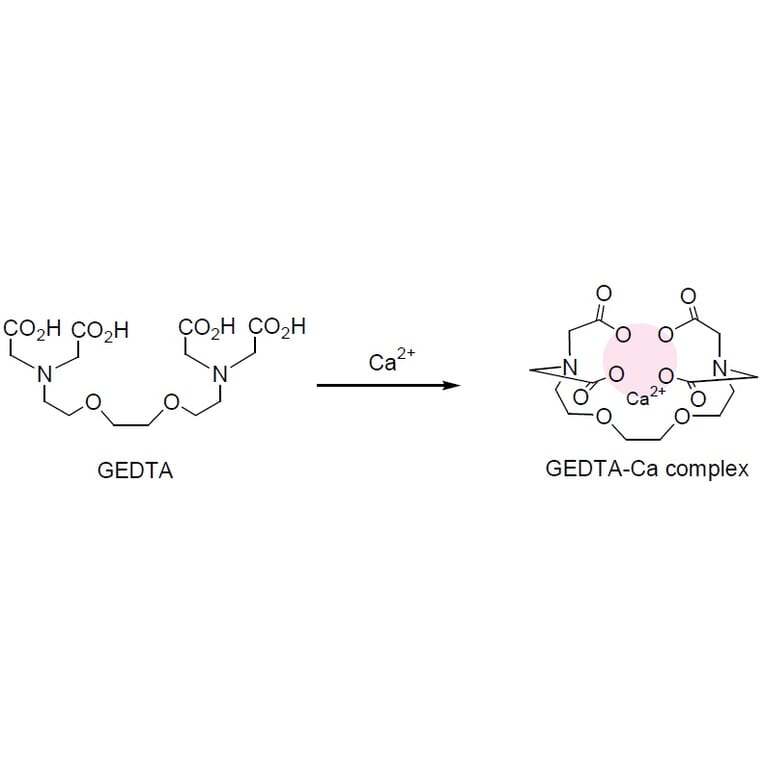 Diagram - EGTA - Calcium-Selective Chelator (A57380) - Antibodies.com