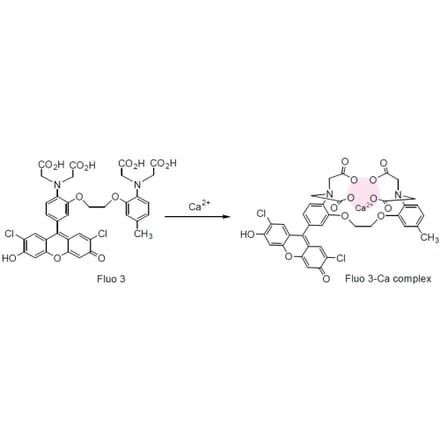 Diagram - Fluo-3 - Calcium Indicator (A57388) - Antibodies.com