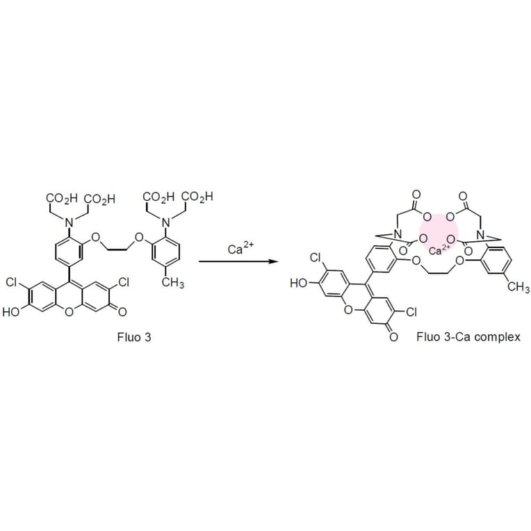 Diagram - Fluo-3 - Calcium Indicator (A57388) - Antibodies.com