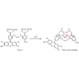 Diagram - Fluo-3 - Calcium Indicator (A57388) - Antibodies.com