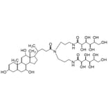 Structure - Detergent Screening Set - Membrane Protein Optimization (A57400) - Antibodies.com