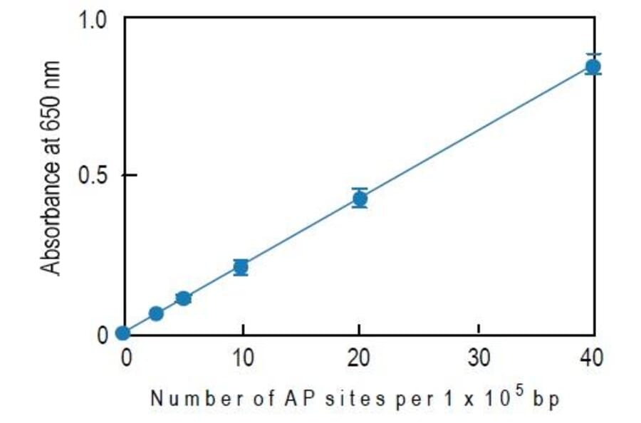 Diagram - Nucleostain™ DNA Damage Quantification Kit - AP Site Counting (A57402) - Antibodies.com