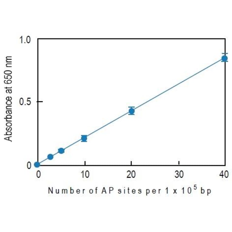 Diagram - Nucleostain™ DNA Damage Quantification Kit - AP Site Counting (A57402) - Antibodies.com