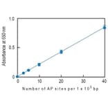 Diagram - Nucleostain™ DNA Damage Quantification Kit - AP Site Counting (A57402) - Antibodies.com