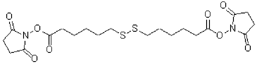 Structure - Dithiobis(Succinimidyl Hexanoate) - Cleavable Crosslinker (A57405) - Antibodies.com
