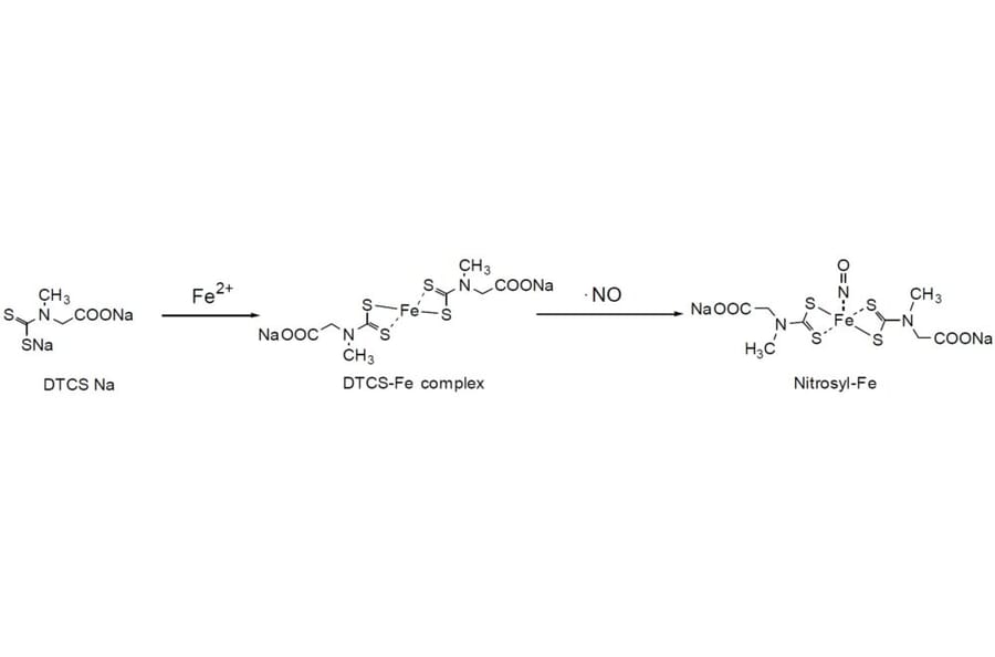 Diagram - Sodium Diethyldithiocarbamate - Metal Chelator (A57414) - Antibodies.com