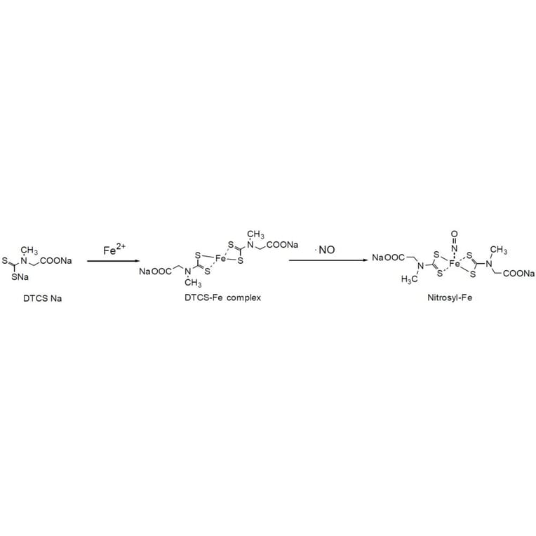 Diagram - Sodium Diethyldithiocarbamate - Metal Chelator (A57414) - Antibodies.com