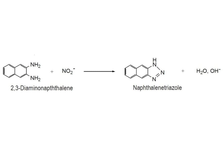 Diagram - 2,3-Diaminonaphthalene - Nitric Oxide Detection Reagent (A57415) - Antibodies.com
