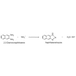 Diagram - 2,3-Diaminonaphthalene - Nitric Oxide Detection Reagent (A57415) - Antibodies.com