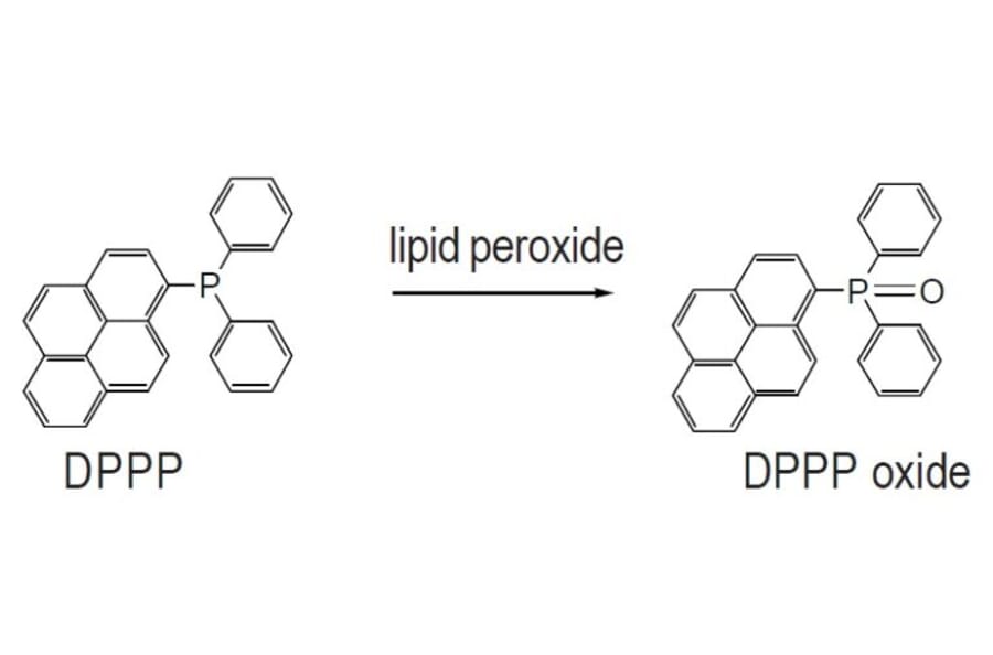 Diagram - DPPP - Lipid Hydroperoxide Probe (A57417) - Antibodies.com
