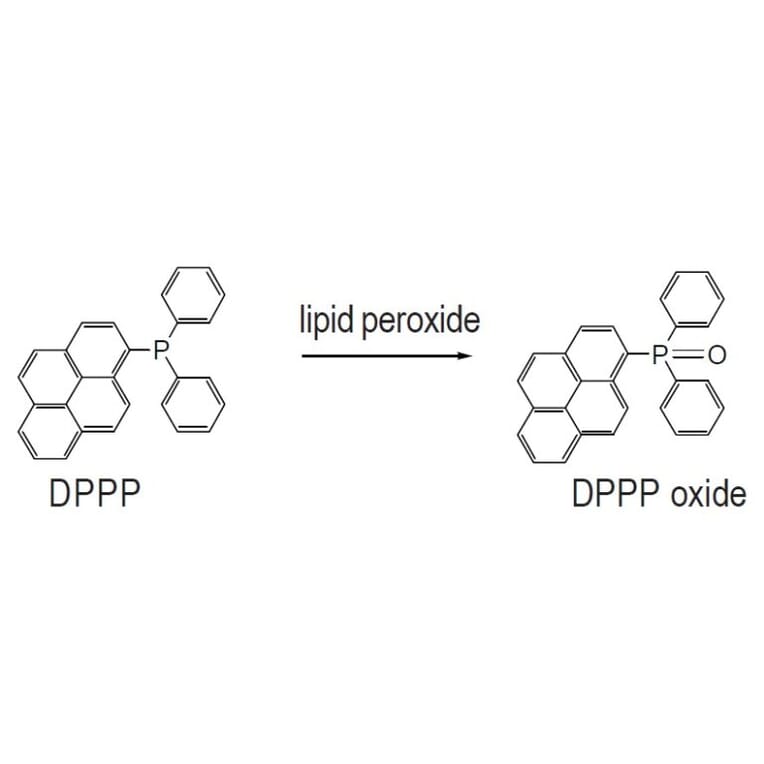 Diagram - DPPP - Lipid Hydroperoxide Probe (A57417) - Antibodies.com