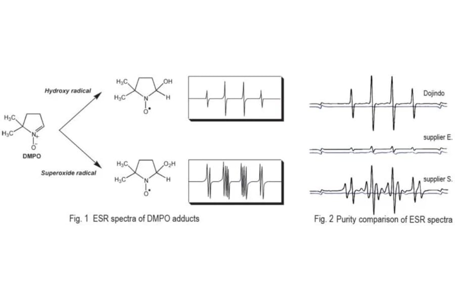 Diagram - DMPO - Spin Trap Reagent (A57421) - Antibodies.com