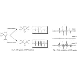Diagram - DMPO - Spin Trap Reagent (A57421) - Antibodies.com