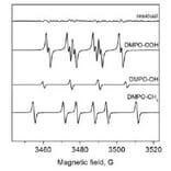 Diagram - DMPO - Spin Trap Reagent (A57421) - Antibodies.com
