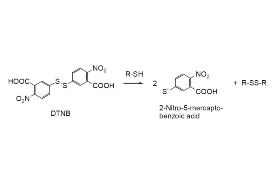 Structure - DTNB - Ellman’s Reagent (A57426) - Antibodies.com