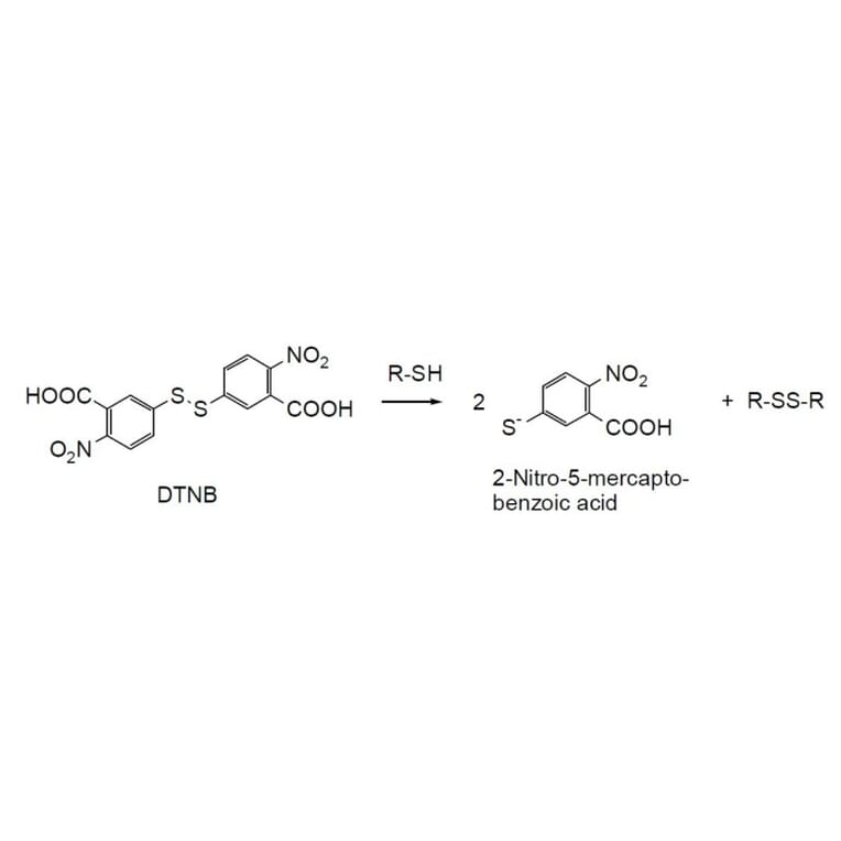 Structure - DTNB - Ellman’s Reagent (A57426) - Antibodies.com