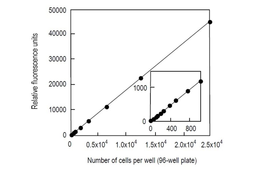 Diagram - Cell Counting Kit-F - Fluorometric Method (A57434) - Antibodies.com