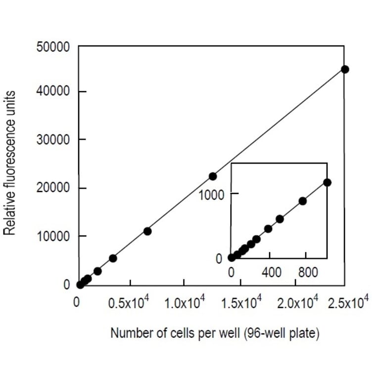 Diagram - Cell Counting Kit-F - Fluorometric Method (A57434) - Antibodies.com