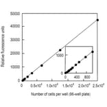 Diagram - Cell Counting Kit-F - Fluorometric Method (A57434) - Antibodies.com