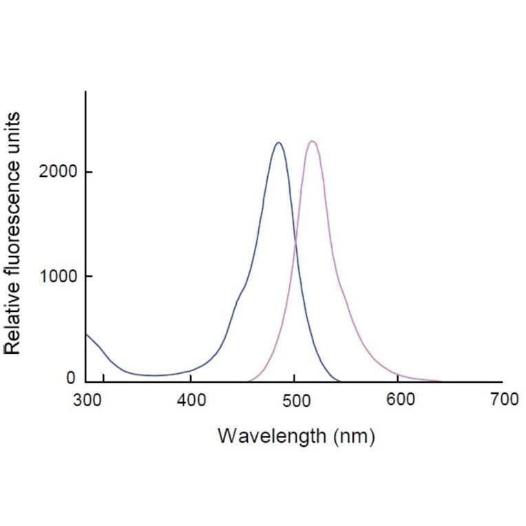 Diagram - Cell Counting Kit-F - Fluorometric Method (A57434) - Antibodies.com