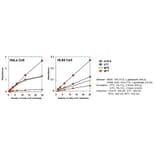 Diagram - Cell Counting Kit-8 - WST-8 Method (A57435) - Antibodies.com