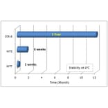 Diagram - Cell Counting Kit-8 - WST-8 Method (A57435) - Antibodies.com