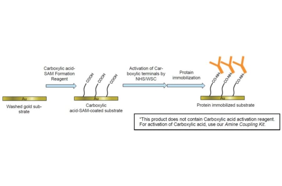 Diagram - Carboxylic Acid-SAM Formation Reagent (A57436) - Antibodies.com