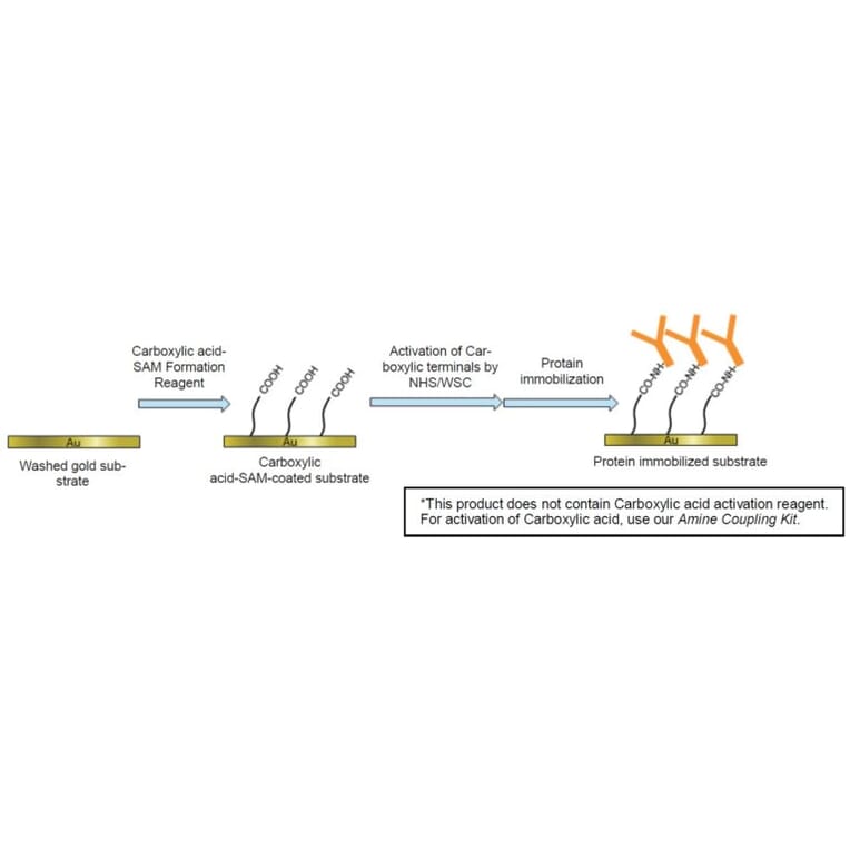 Diagram - Carboxylic Acid-SAM Formation Reagent (A57436) - Antibodies.com