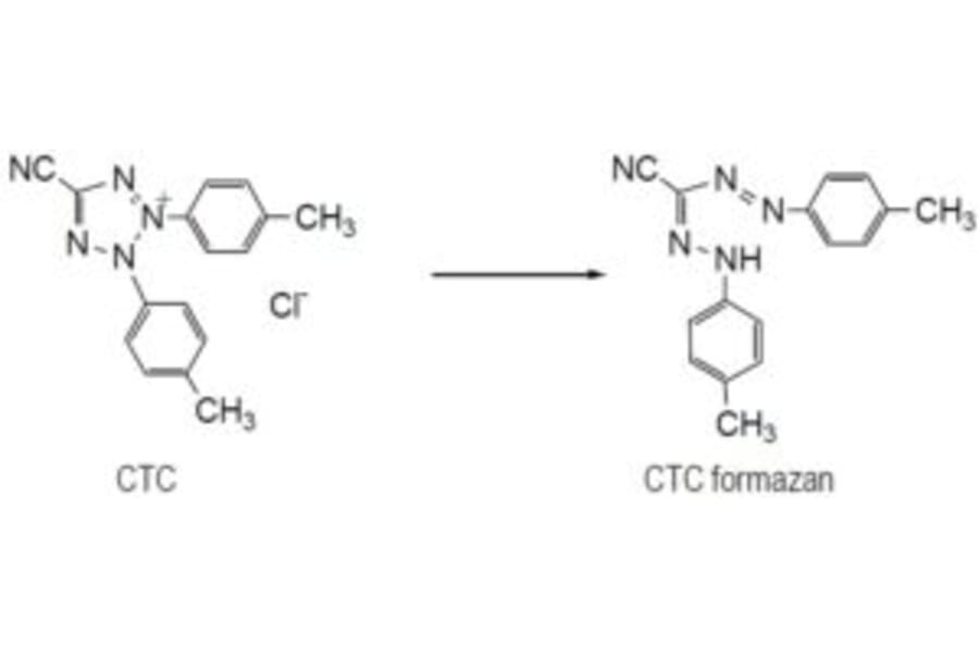 Diagram - CTC Tetrazolium Salt - Microbial Viability Reagent (A57439) - Antibodies.com