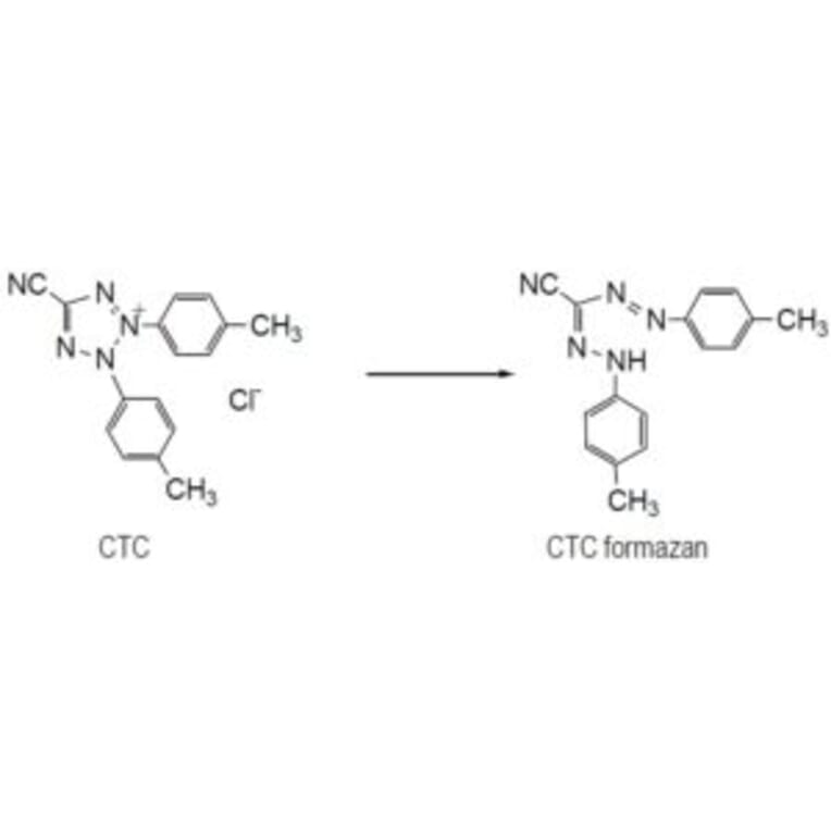 Diagram - CTC Tetrazolium Salt - Microbial Viability Reagent (A57439) - Antibodies.com